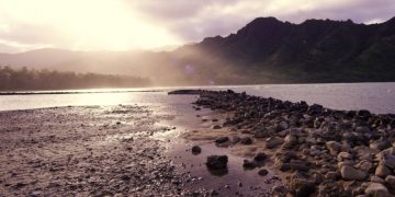 На острове Гавайи на берег выбросились 10 китов