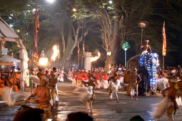 Старый слон упал в обморок от голода на фестивале на Шри-Ланке