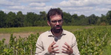 Титул самого дорого вина перешел к Liber Pater