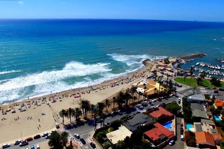 На пляже Испании туристку покусала таинственная синяя рыба