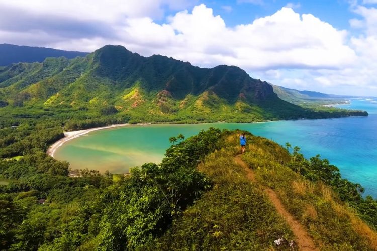 Полицейские вмешались в протесты около горы на Гавайях