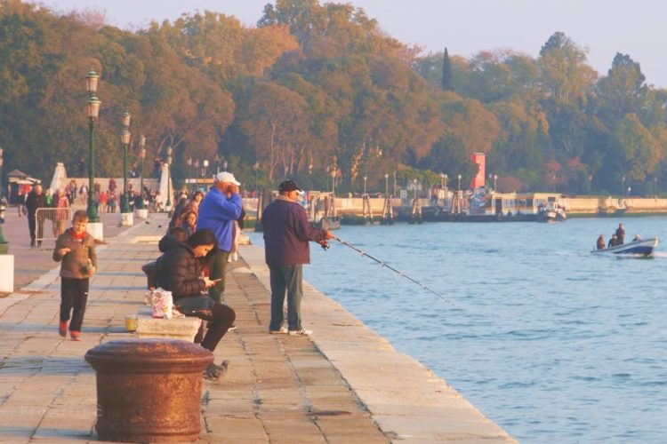 Запрет круизных лайнеров в Венеции оказался фейком