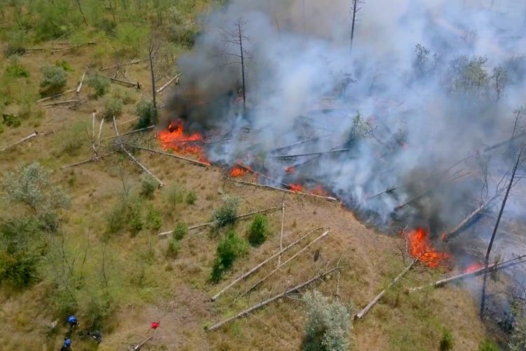 Пожары в Греции уничтожили 2800 гектаров леса