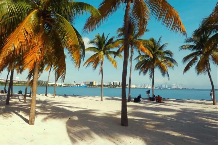 Во Флориде утонул человек, который впервые увидел океан