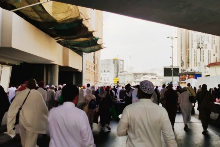 В Саудовской Аравии не могут решить, кто будет возить паломников