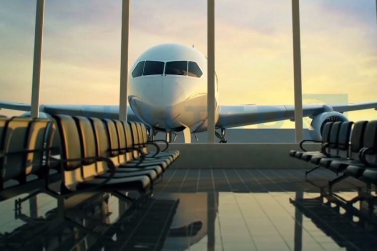 новость 24-09-2019 United Airlines несет ответственность за смерть собаки