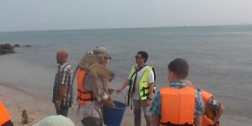 новость 07-09-2019 Остров обезьян во Вьетнаме вызывает обеспокоенность активистов