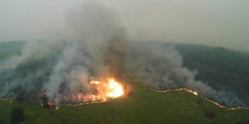 новость 13-09-2019 Тропические леса Индонезии охватили огромные пожары