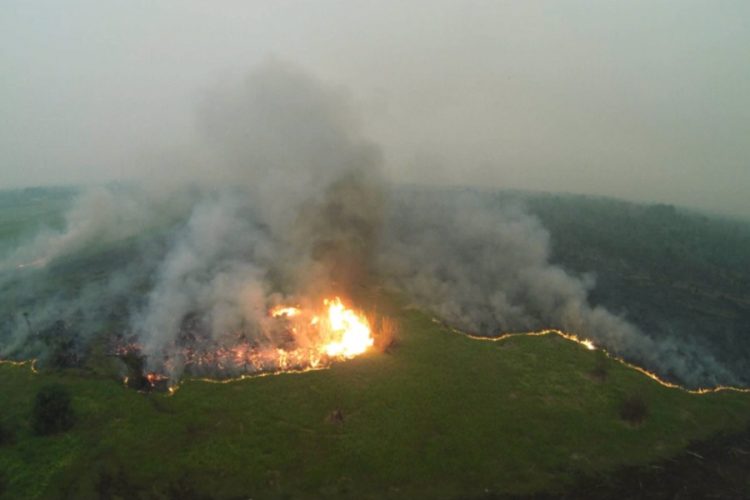 новость 13-09-2019 Тропические леса Индонезии охватили огромные пожары