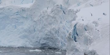 Бесплатную поездку в Антарктиду в обмен на участие в исследовании предлагает Airbnb