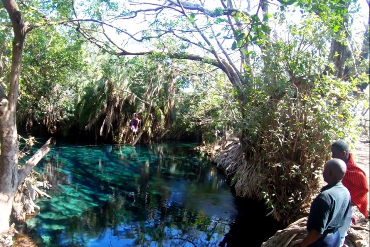 Продвижением достопримечательностей Танзании принудительно займутся знаменитости