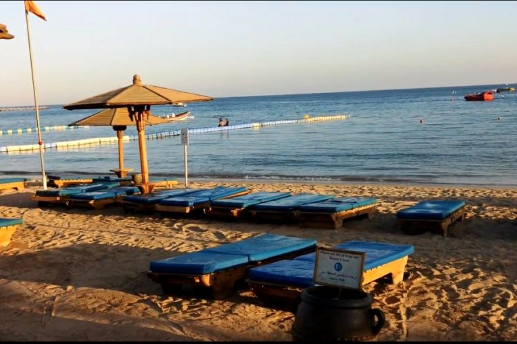 94% американцев не покупают медицинскую страховку для путешествий