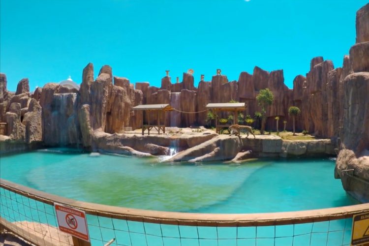 Турция объяснила трагические случаи с туристами в турецких отелях