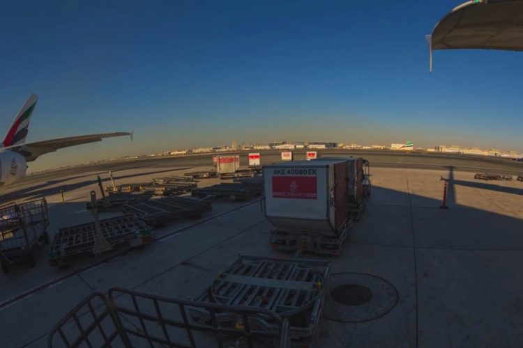 Турецкая авиакомпания развивает маршрутную сеть в Европе. Почему?