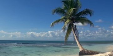 Клиенты Томас Кук убирают мусор на пляжах