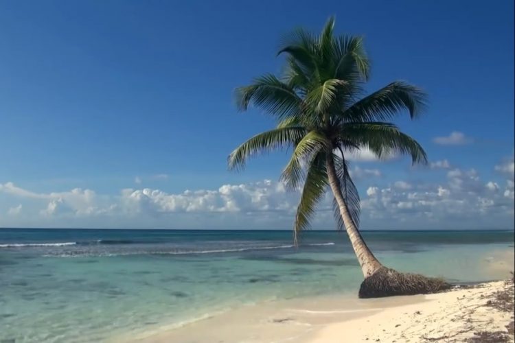 Клиенты Томас Кук убирают мусор на пляжах