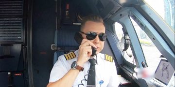 Самолет Air India атаковали пчелы
