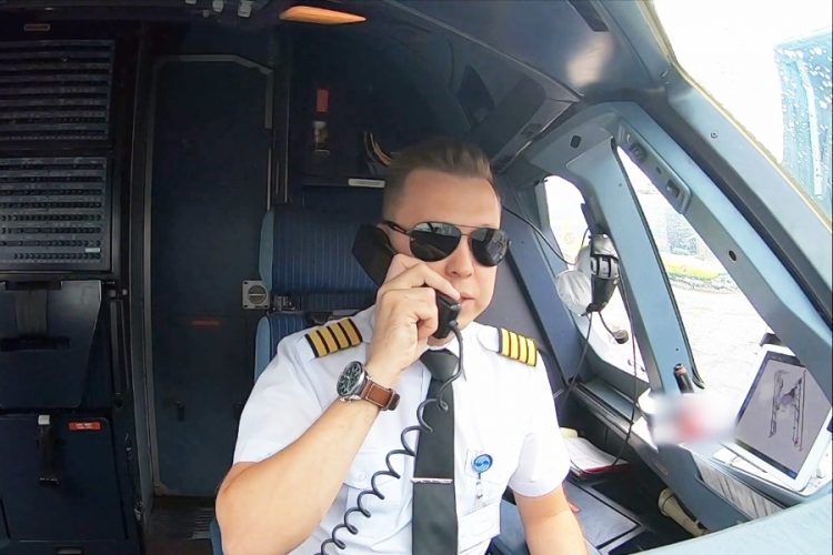 Самолет Air India атаковали пчелы