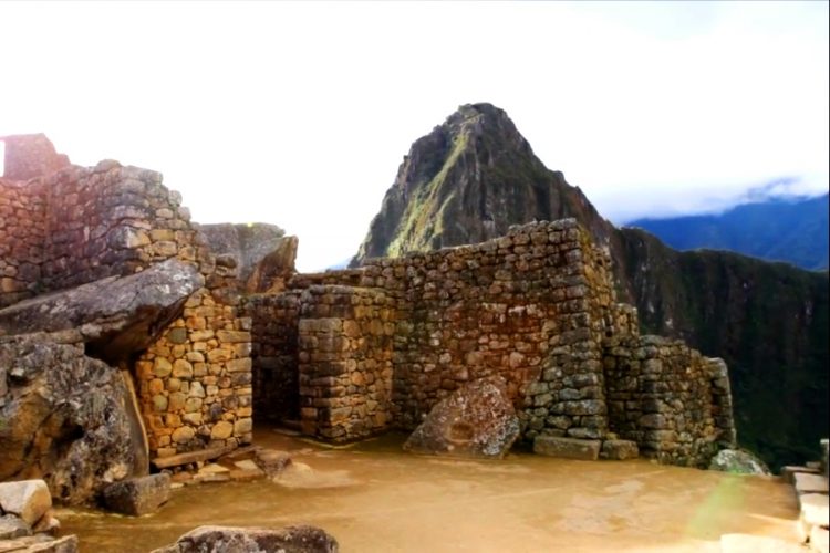 Еще 30 направлений открыли для людей с ограниченными физическими возможностями