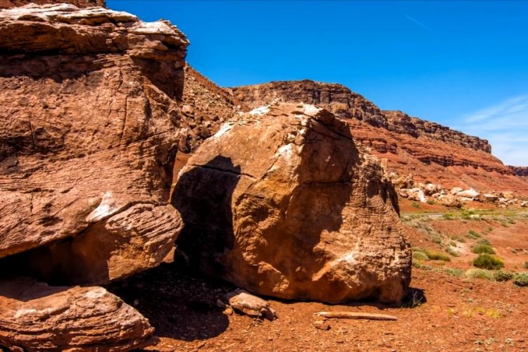 Национальные парки Америки можно посетить бесплатно 28 сентября