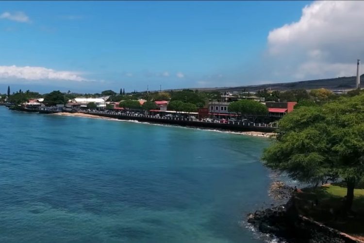 На Большом острове Гавайев могут исчезнуть коралловые рифы