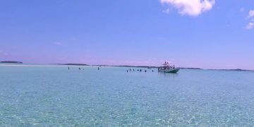 Royal Caribbean и другие круизные компании пострадали от урагана