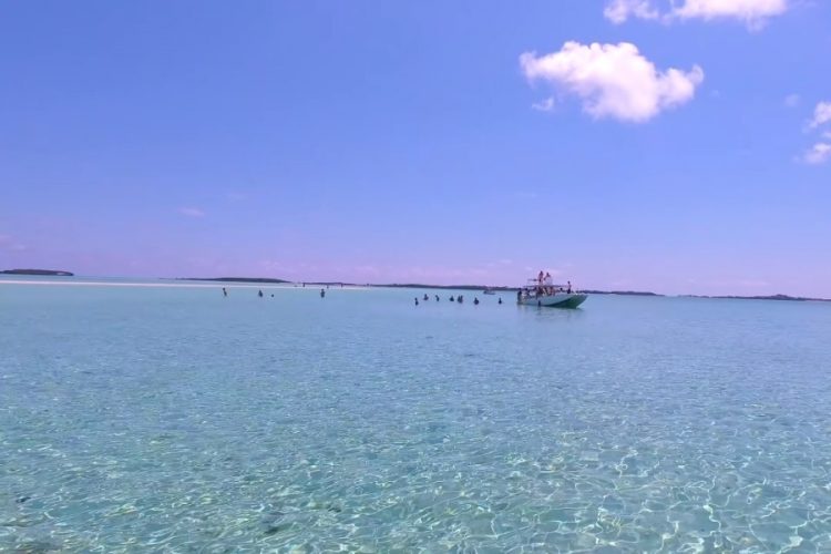 Royal Caribbean и другие круизные компании пострадали от урагана