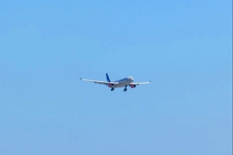 Авиакомпания SAS предлагает пассажирам самостоятельно купить биотопливо