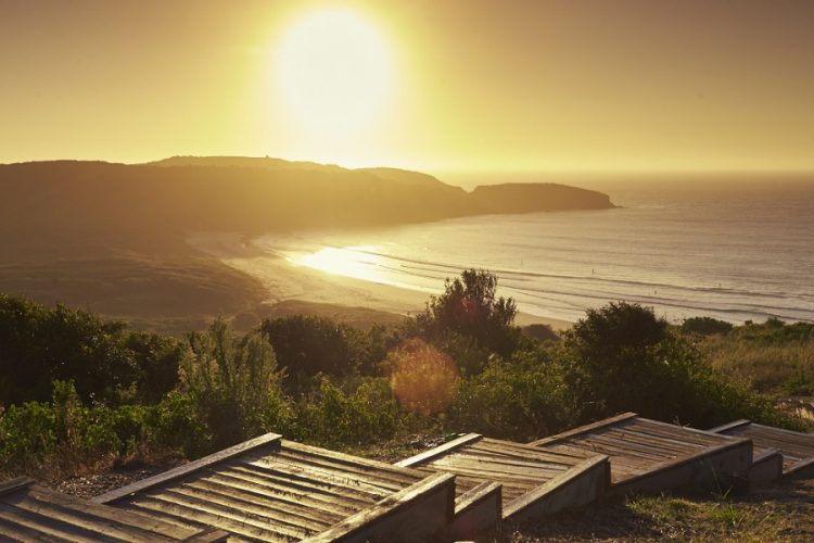 новость 29-10-2019 Спасет ли петиция государственный парк Killalea от реконструкции