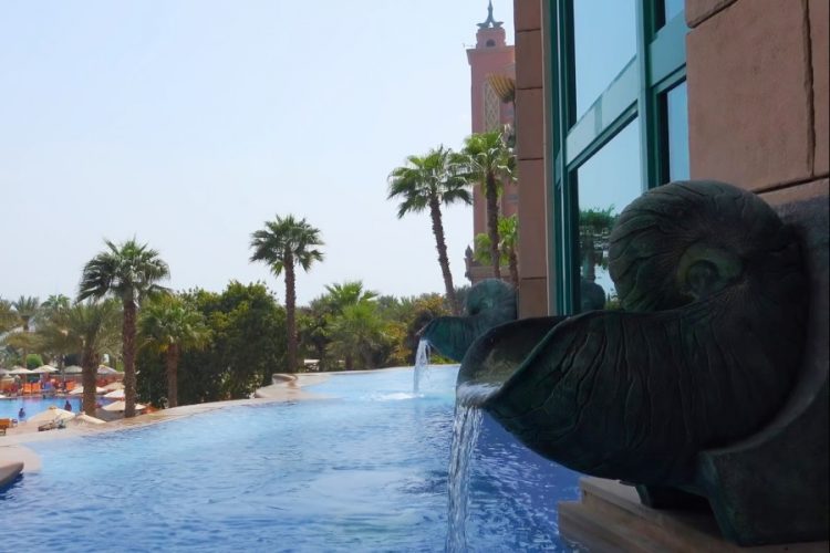 The Palm в Дубае открывает экскурсии по самому глубокому в мире аквариуму