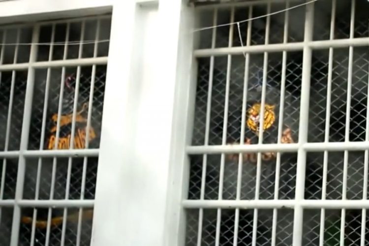 В соцсетях собрали деньги, чтобы вызволить из тайской тюрьмы россиянина