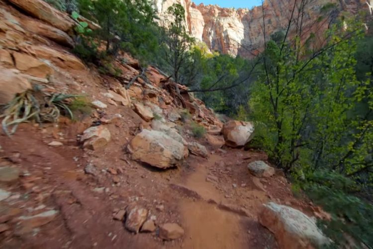 В нацпарке Турции наконец прекратили строительство ГЭС по решению суда
