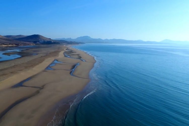 Пляжи Майорки побороли овертуризм благодаря банкротству Томас Кук