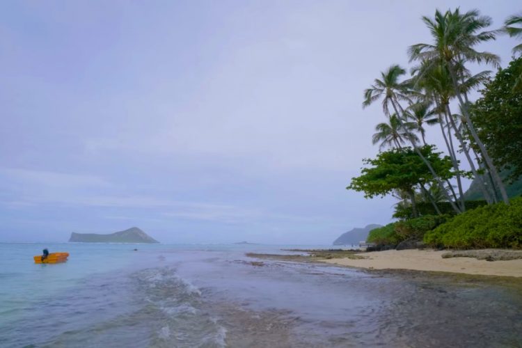 На южном берегу острова Оаху запретят соревнования по серфингу