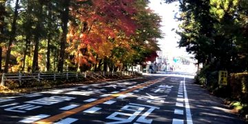 Туристы из Японии и Сингапура получили огромные возможности для путешествий