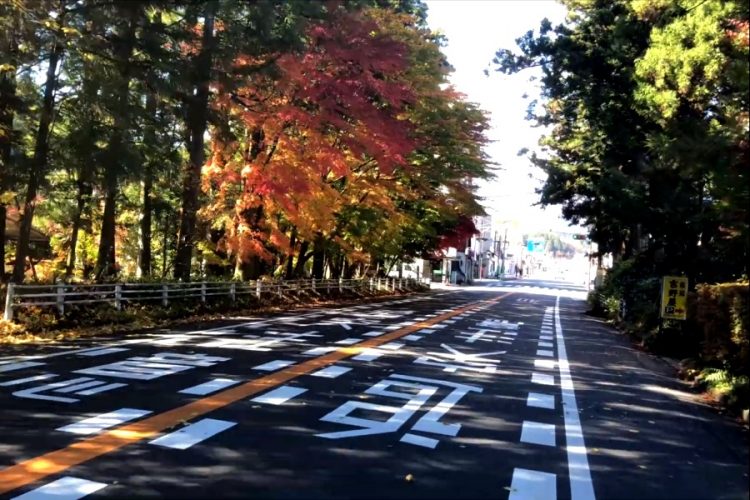 Туристы из Японии и Сингапура получили огромные возможности для путешествий