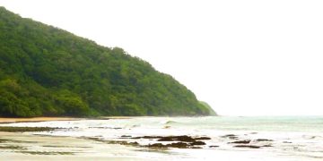 На австралийском курорте акула оторвала ногу туристу