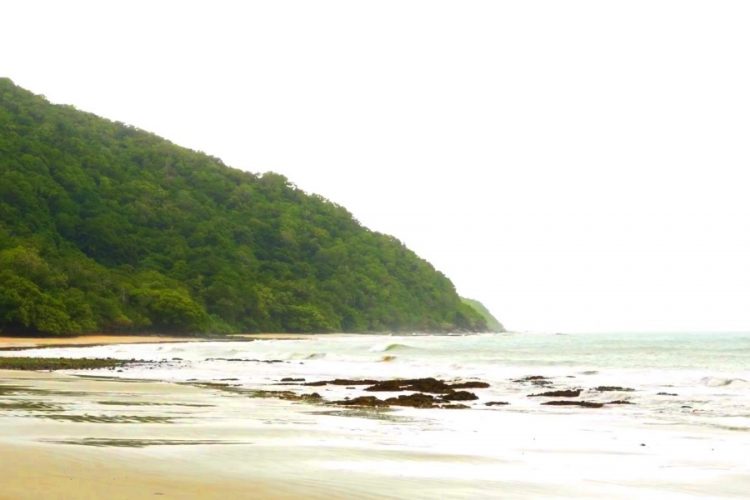 На австралийском курорте акула оторвала ногу туристу