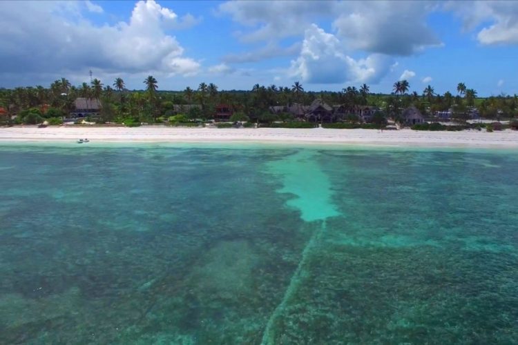 Танзанийские чиновники заявили, что весь врет по поводу вируса Эболы