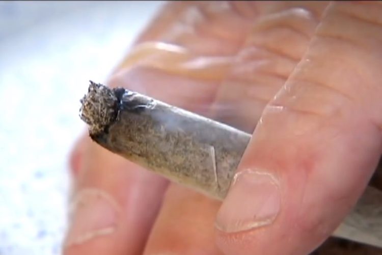 В Лос-Анджелесе открыли кафе, которое торгует марихуаной