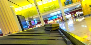 Кошка незаметно залезла в чемодан туристов - обнаружили животное уже в аэропорту