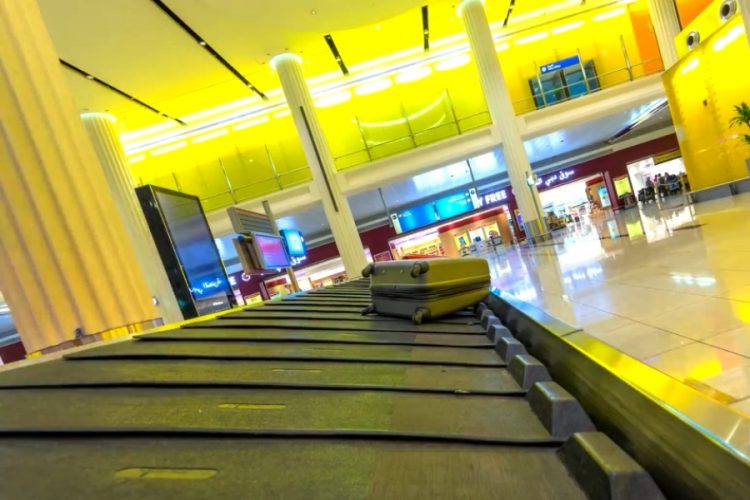 Кошка незаметно залезла в чемодан туристов - обнаружили животное уже в аэропорту