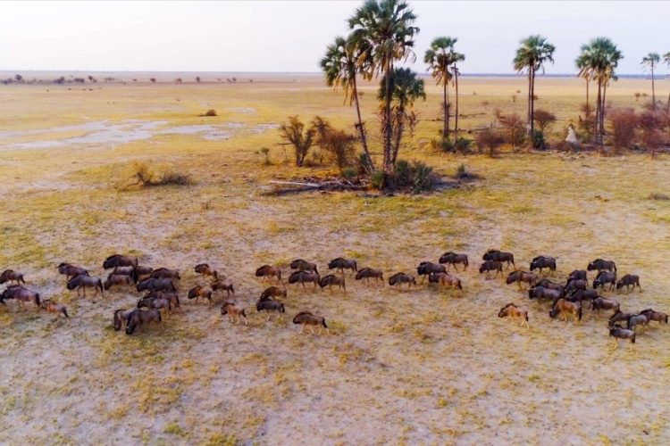 Исследователи нашли родину современного человека