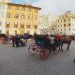 В Риме подняли вопрос прекращения экскурсий на лошадях, так как животные работают на износ