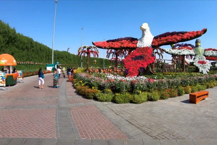 Dubai Miracle Garden открывают 1 ноября