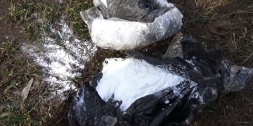 Туристы нашли 20 килограмм кокаина на пляже в Южной Каролине