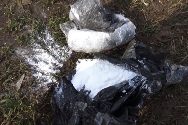 Туристы нашли 20 килограмм кокаина на пляже в Южной Каролине