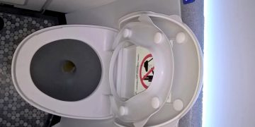 Спецслужбы помогали вытащить голову из унитаза пассажиру из Швейцарии