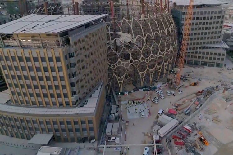 Швеция посадила реальный лес в павильоне выставки Expo 2020