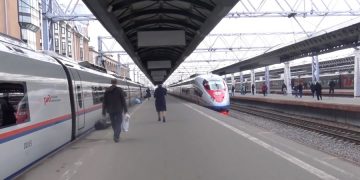 Поезда Санкт-Петербург – Хельсинки задержали из-за упавшего дерева